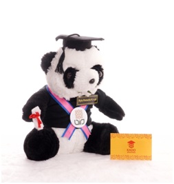  Boneka  Wisuda Harga dan Rekomendasi Terbaik Terbaru  2019 